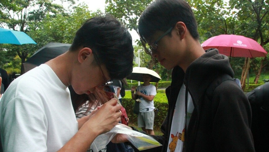同学正在观察生在深圳湾公园收集到的害虫样本。